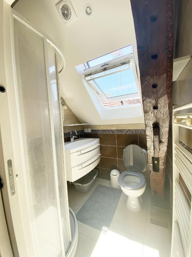 Superbe Appartement, General Allix A サンス エクステリア 写真